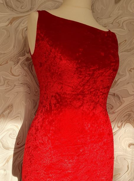 Red Velvet Dress