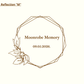 MEMORY - NATURE REFLECTION