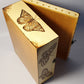 inside gold varnished pyrographi large box